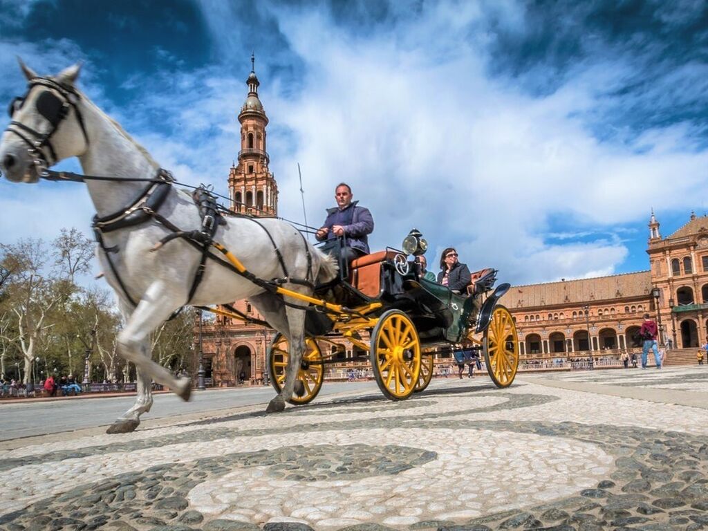 Sevilla horse spain tourism 162042